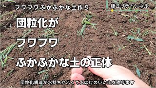 フワフワふかふかな土作り ソルゴーを耕す Youtube
