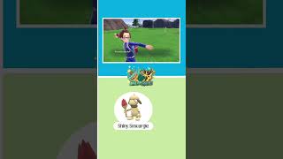 Shiny Smeargle in The Indigo Disk! #pokemonscarletviolet #shinysmeargle #smeargle #shinypokemon