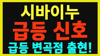 [시바이누] 황소 깃발 구간 나타났다!!  고래들의 매집 움직임 포착!!