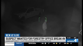 Investigation underway after burglary at TN forestry office
