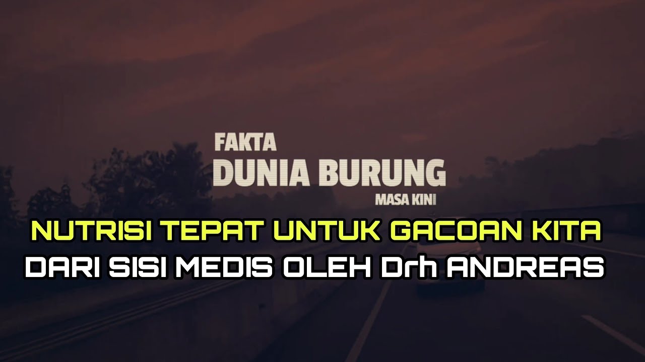 PERLU DIPAHAMI ! Kandungan Nutrisi Dalam EF Yang Tepat Untuk Burung Ocehan Diulas Oleh Drh Andreas