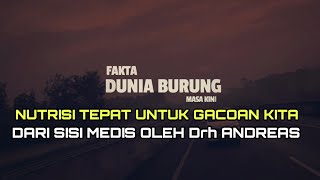 PERLU DIPAHAMI ! Kandungan Nutrisi Dalam EF Yang Tepat Untuk Burung Ocehan Diulas Oleh Drh Andreas