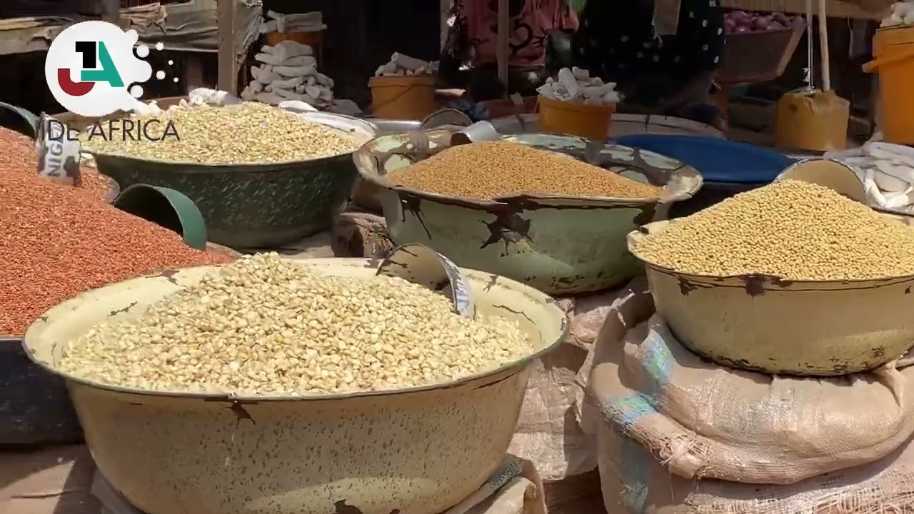 North bank makurdi benue short documentary 