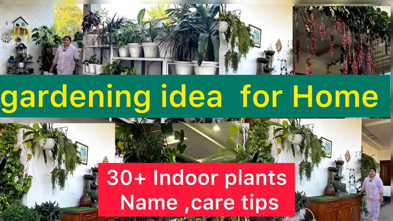 #indoorplants