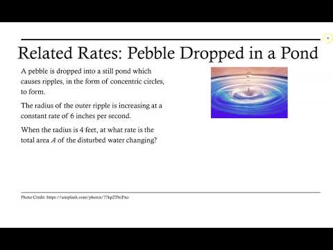 Related Rates: Dropping a Pebble in a Pond