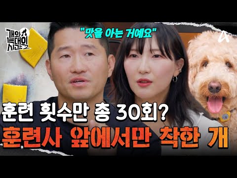 집에선 망나니지만 학원에선 우등견 '베베'?! | 개와 늑대의 시간2 30 회
