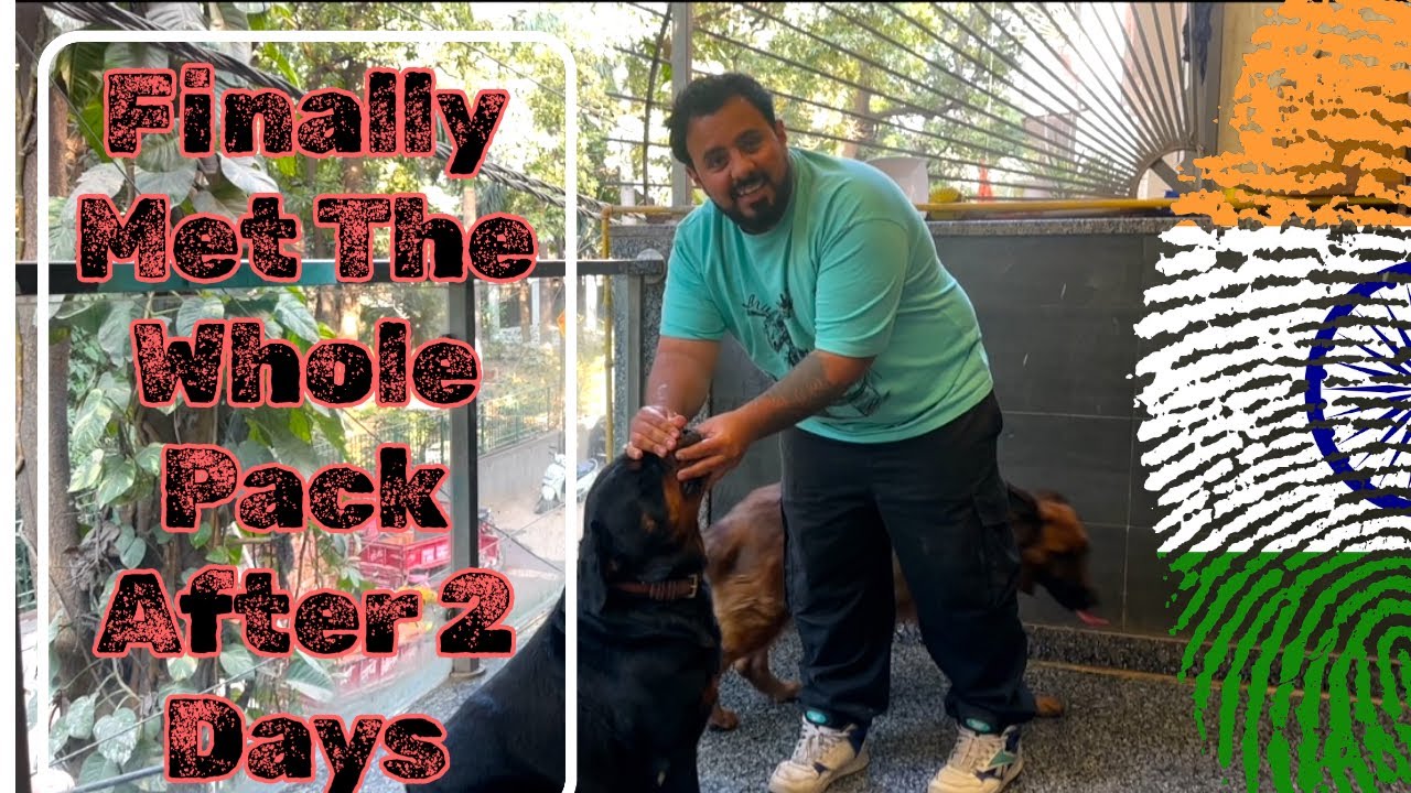 Kaha Gana Pada Itne Urgently - Finally Met The Pack After 2 Days. 