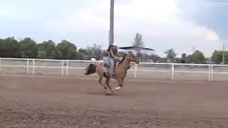 Dakota Monte Wins Big At Texas Jackpot