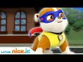 Paw Patrol, Patrulla de cachorros | Supercachorro en camino | Nick Jr. en Español