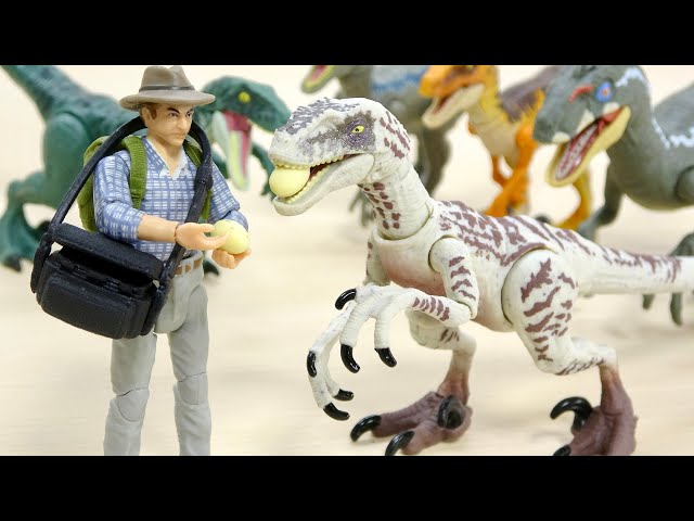 卵を咥えるラプトルが再現できる! ハモンドコレクション ジュラシック