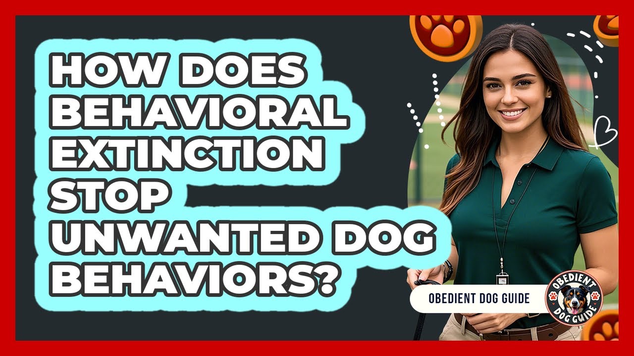 How Does Behavioral Extinction Stop Unwanted Dog Behaviors? - Obedient Dog Guide