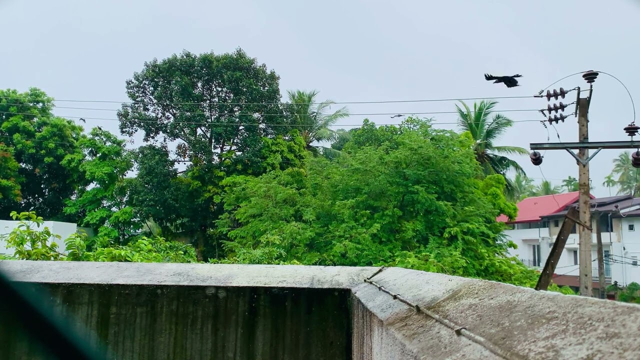 Raining Real Sounds ASMR - Suburbs of Colombo Sri Lanka 4K