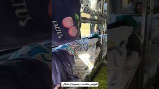 خدایی اگه از این اتوبوس‌ها باشه من هر ماه میرم سفر