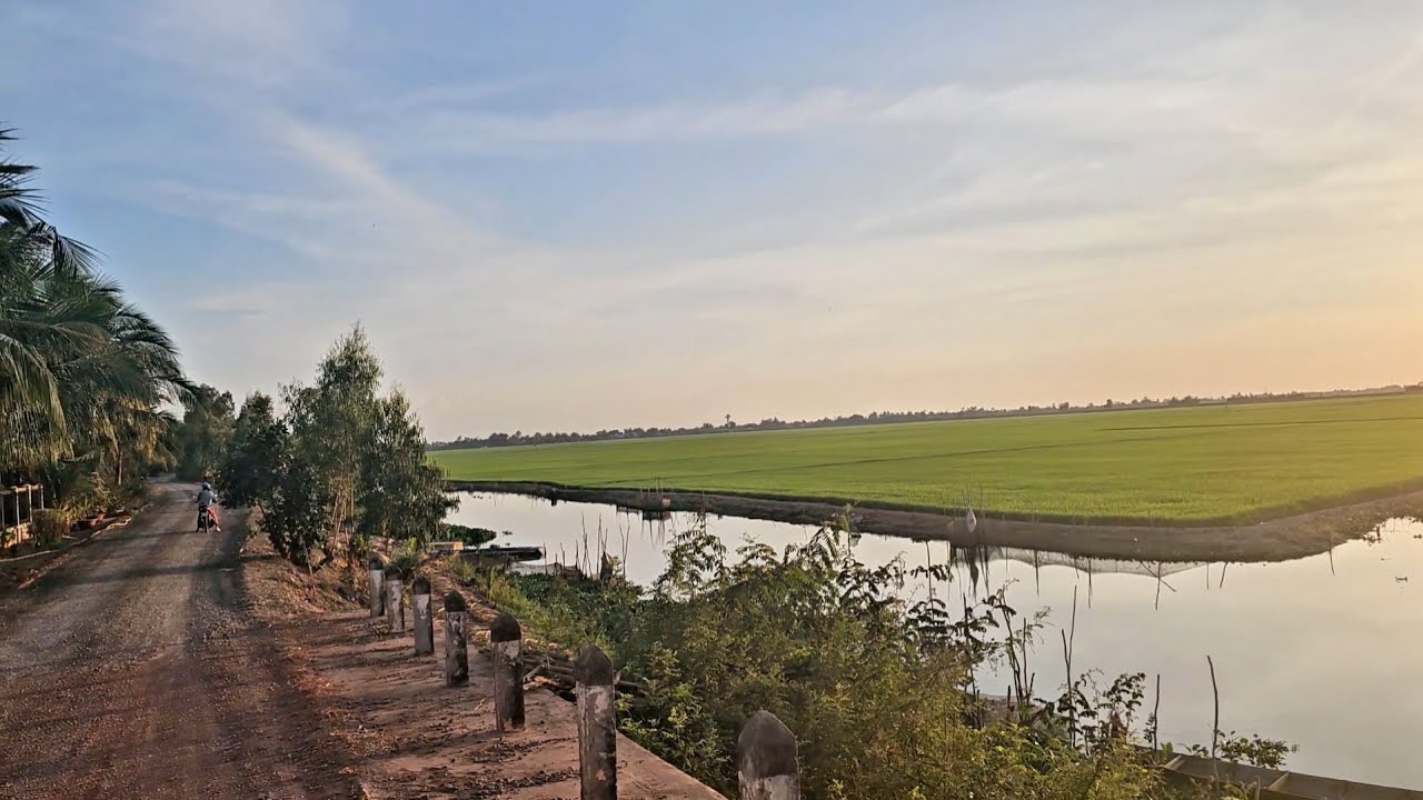 Một buổi chiều miền quê yên bình | Viet Nam peaceful countryside 