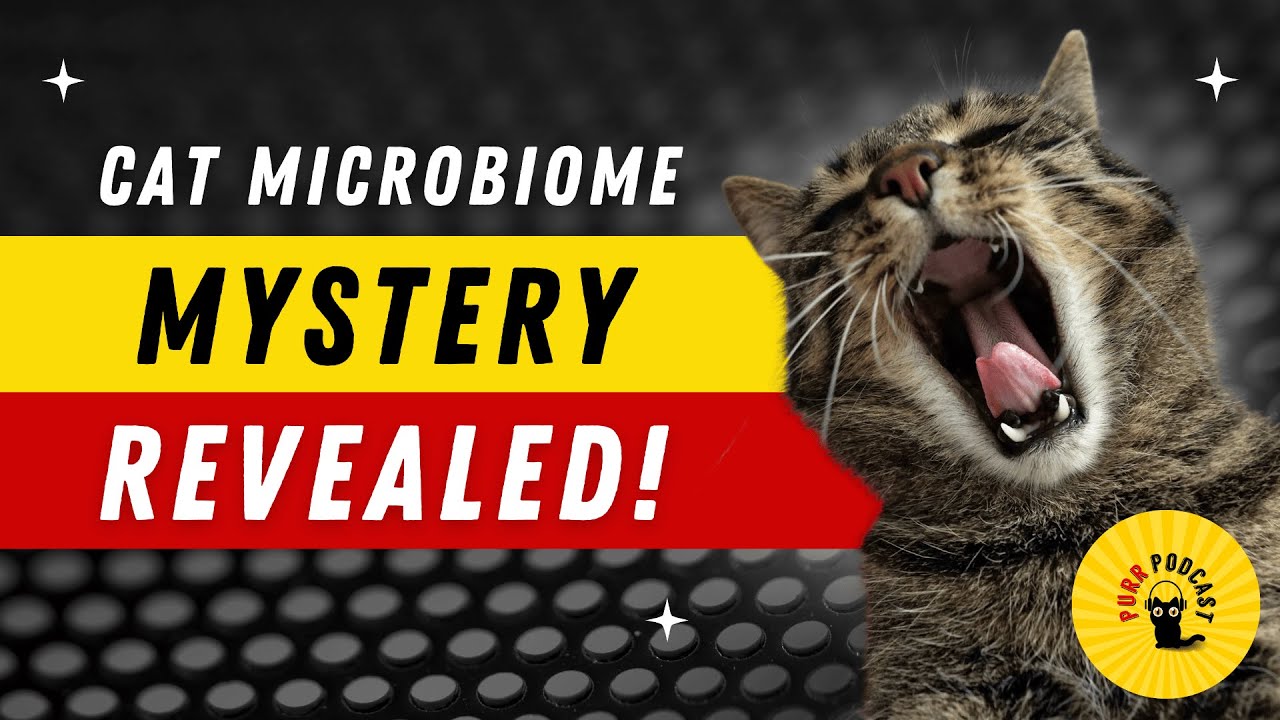 Does meconium have a microbiome? with Dr. Caroline Mansfield - Purr Podcast