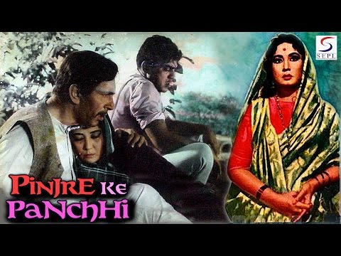 Pinjre Ke Panchhi still