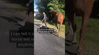 Show Some Love To Ally In The Comments. Shes One Of The Good Ones.