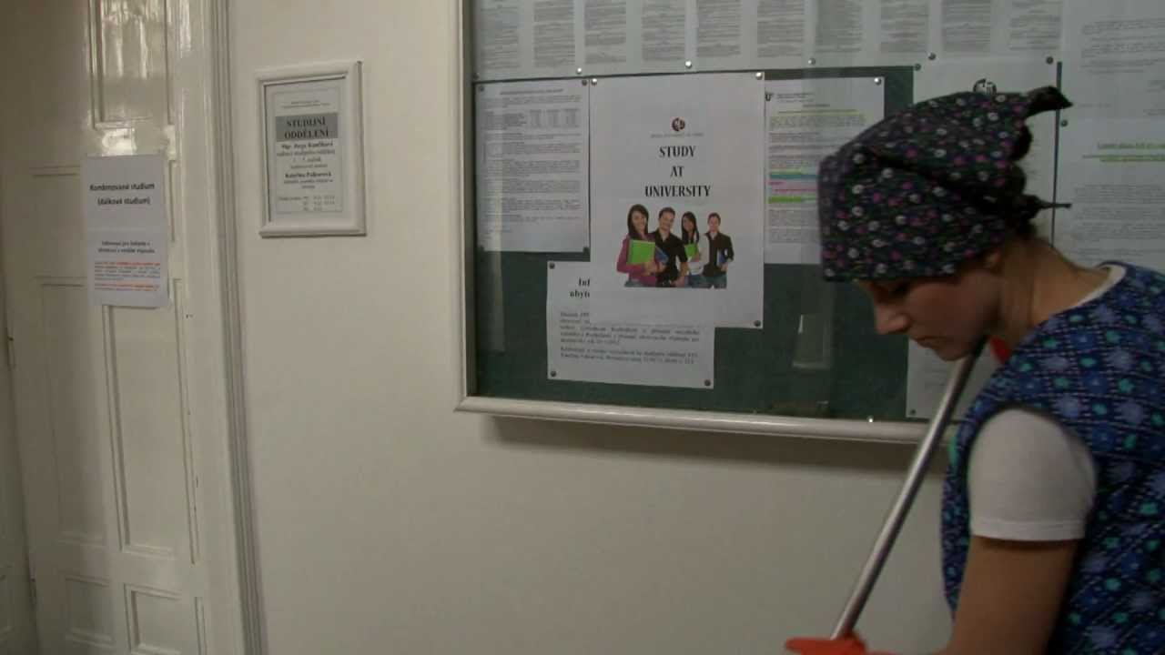 OECD Youth Video Competition ﻿2012  - Charlady