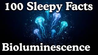 The Most Soothing Bioluminescence Facts — Fall Asleep to Biology screenshot 3