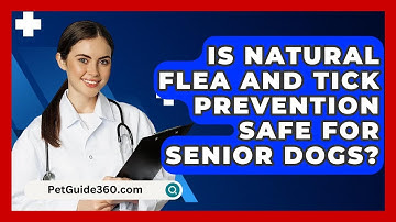 Is Natural Flea And Tick Prevention Safe For Senior Dogs? - PetGuide360.com