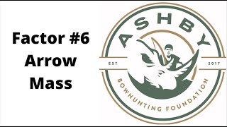 Factor #6 Arrow Mass