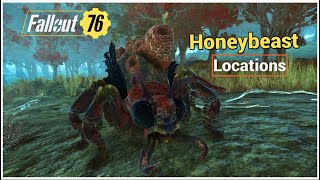 Honeybeast Locations