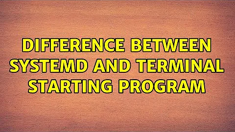 Difference between systemd and terminal starting program