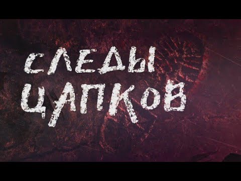 Следы Цапков. Линия защиты