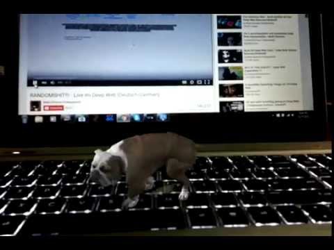 I finally fixed my PC problem... - YouTube