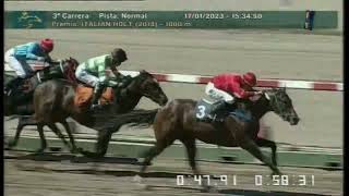 Carr.3º Premio: ITALIAN HOLT (2014) 17-01-2023