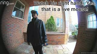 Security surveillance Ring camera compilation video catching thieves breaking in and/or stealing