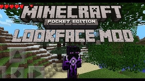MCPE LOOKFACE MOD 0.8.1