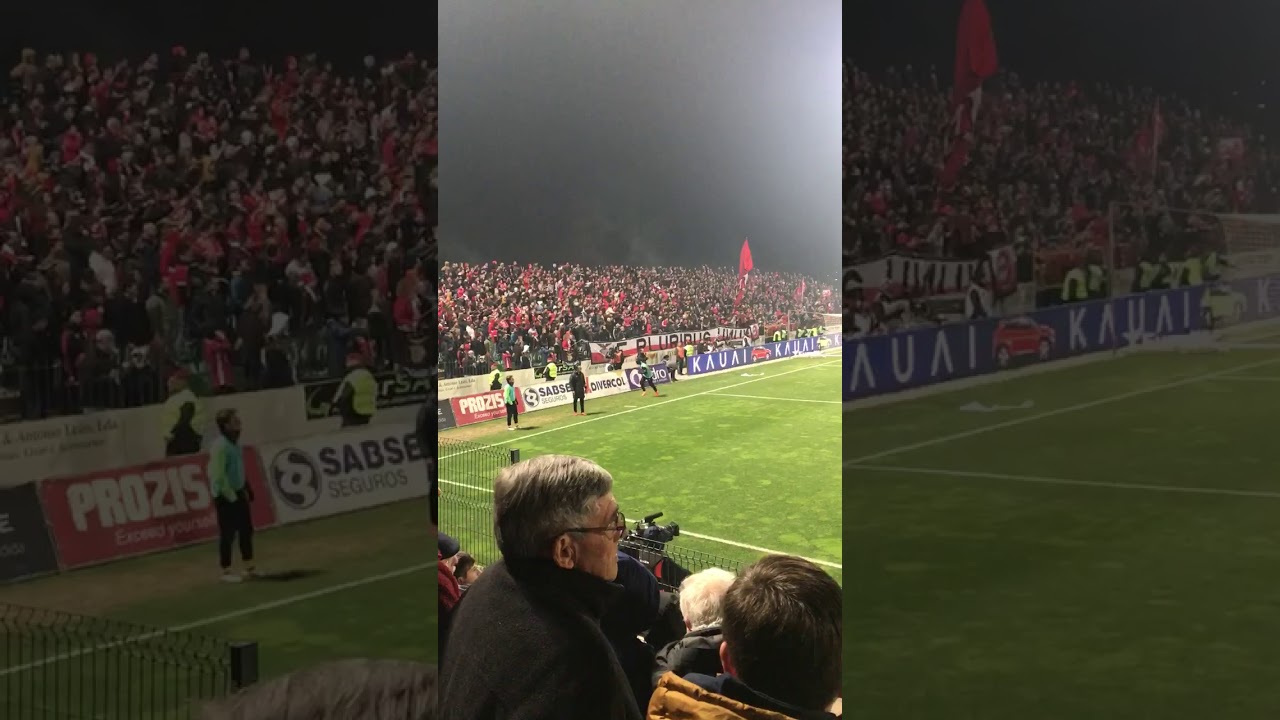 1904!! Estádio da mata real