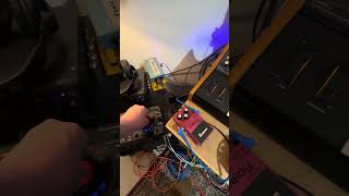 Moog bass intro. #moog #electronicmusic #synth #synthesizer #ableton