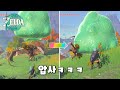 독기 바위로 몬스터 압사시키기ㅋㅋㅋ : 젤다 왕눈