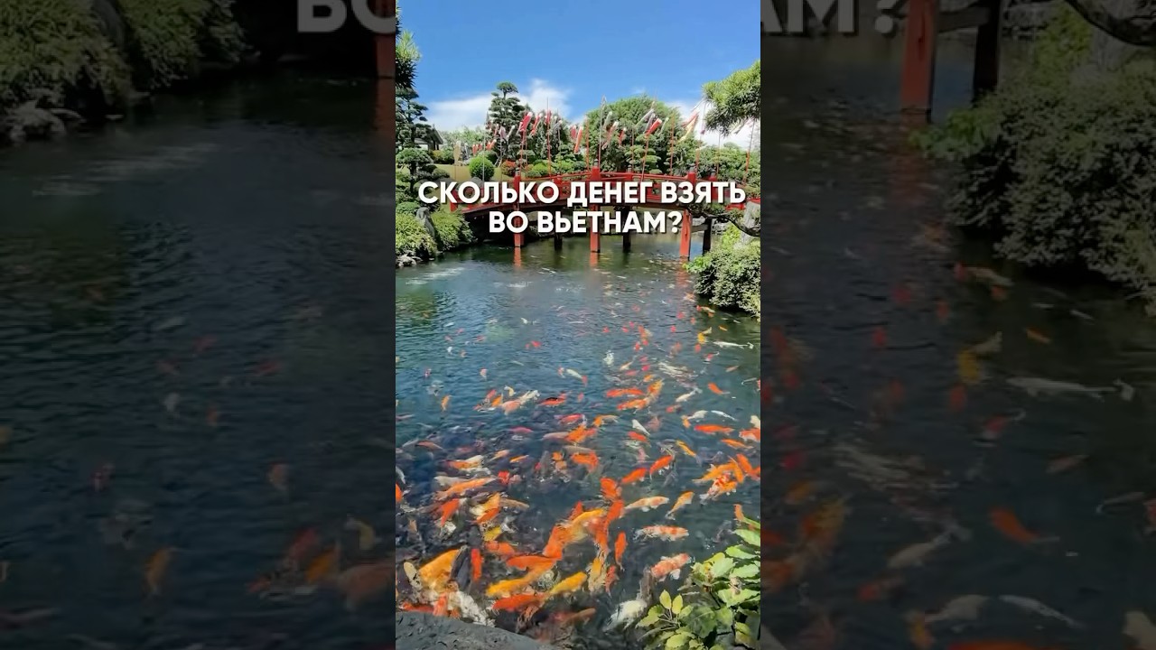 💸 Сколько денег брать во Вьетнам в 2025 году? 