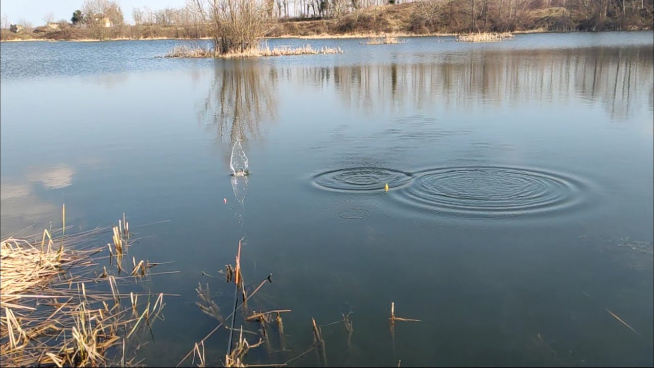 Uzun Zaman Sonra Ruhumuz Dinlendi / Balık Avı / Doğa / Kamp