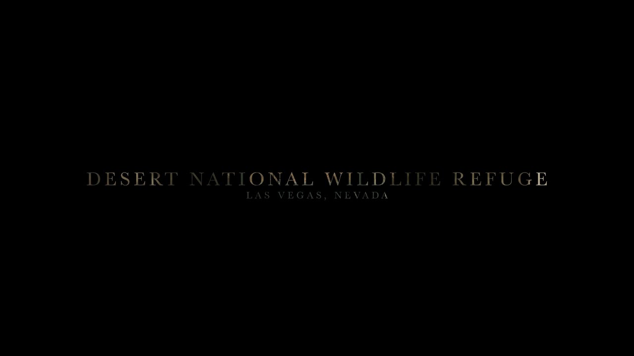 Desert National Wildlife Refuge, Las Vegas, NV.