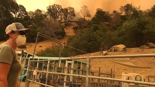 6 P.M. Update: LNU Lightning Complex Fire burns near Vacaville, Fairfield