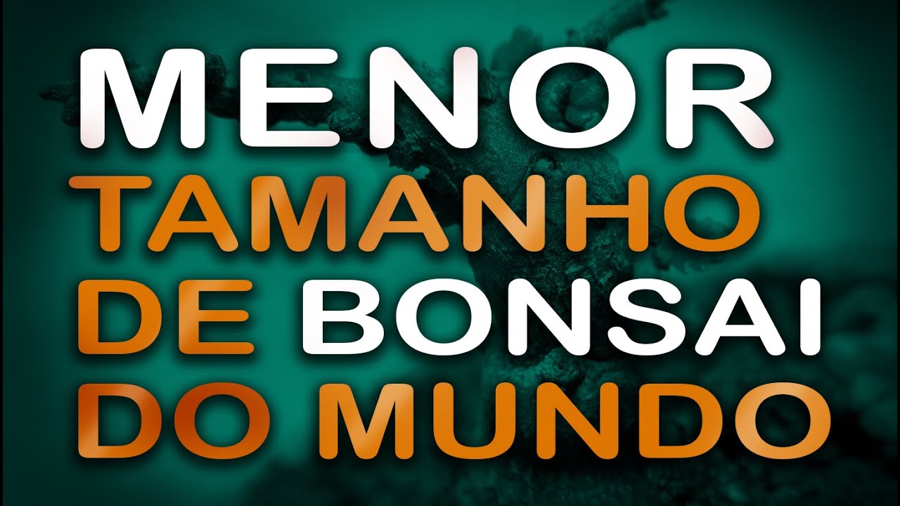 Vamos fazer o menor tamanho de bonsai do mundo - Let's make the smallest bonsai in the world