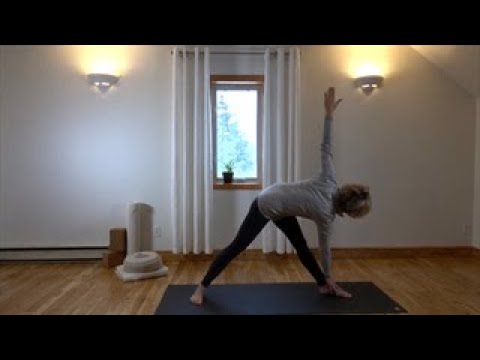 Vidéo: Flexible Et Résilient: Les Politiciens Qui Pratiquent Le Yoga