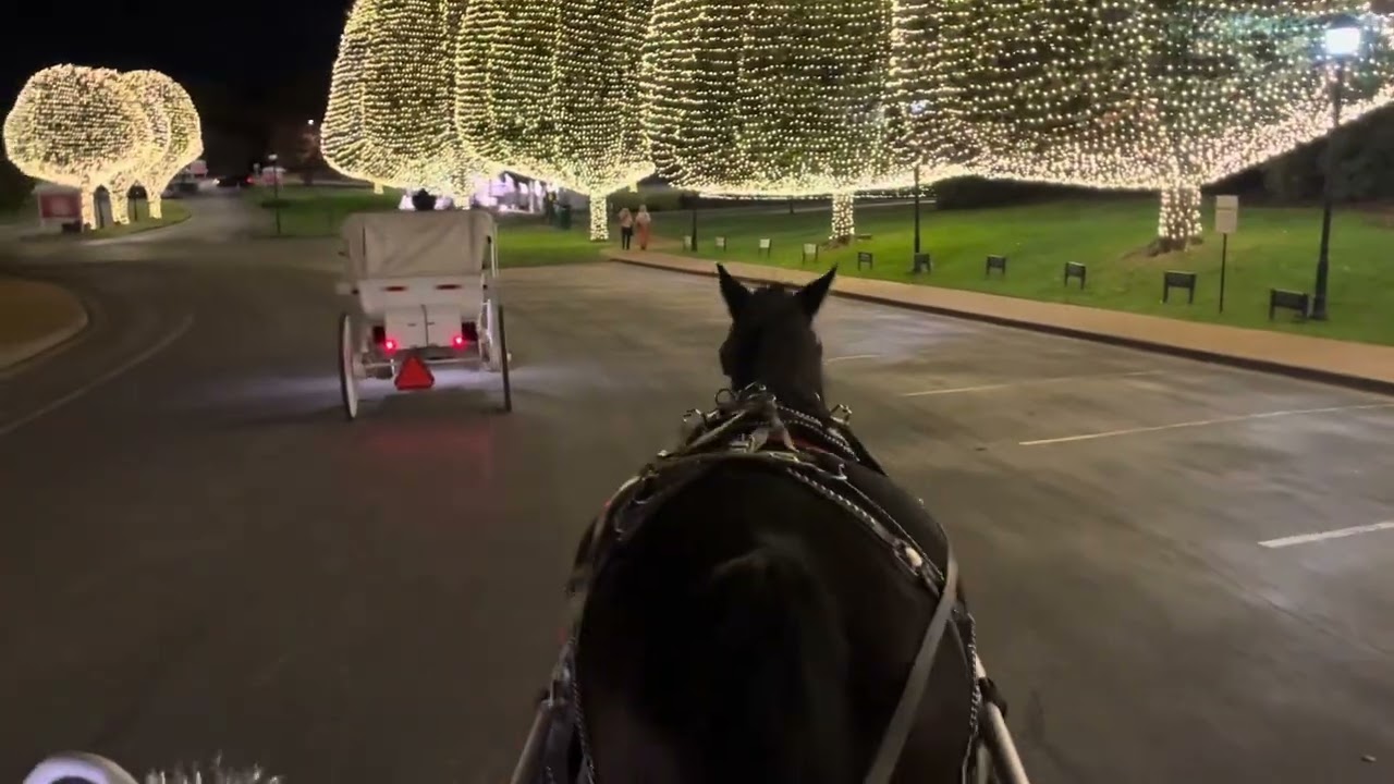 Gaylord Opryland Hotel Horse & Carriage