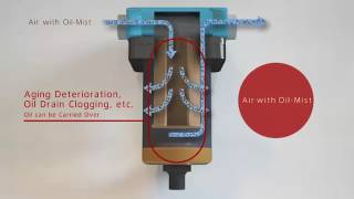 Celebrity Scroll Pump Clean Air Net Worth