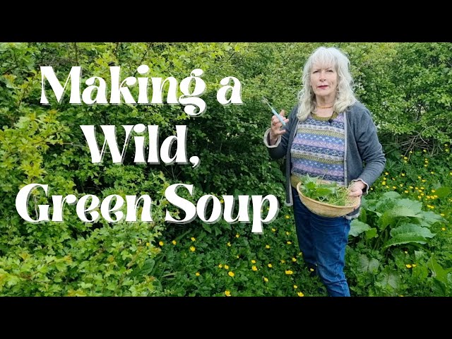 Making Wild, Green Soup
