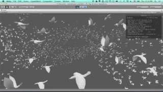 Test of Birds