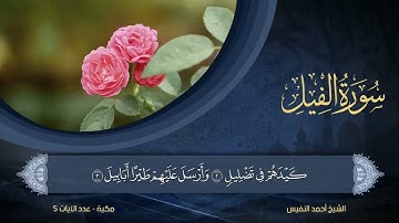 105   سورة الفيل   الشيخ أحمد النفيس