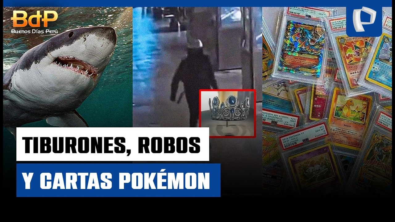 Bloque internacional: ataque de tiburones, robo en el Louvre y cartas Pokémon