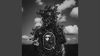 ONLYFANS (feat. Yung Lemur)