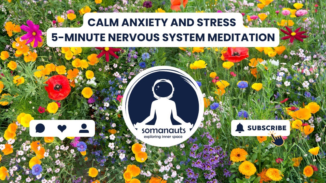 Calm Anxiety and Stress | 5-Minute Nervous System #Meditation - YouTube