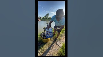 Báo cá cám R3 #camr1 #camr3 #camr2 #fishing